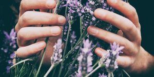 découvrez tout ce qu'il faut savoir sur le niveau d'huile moteur : son importance, comment vérifier et maintenir un niveau optimal pour assurer la performance et la longévité de votre véhicule.