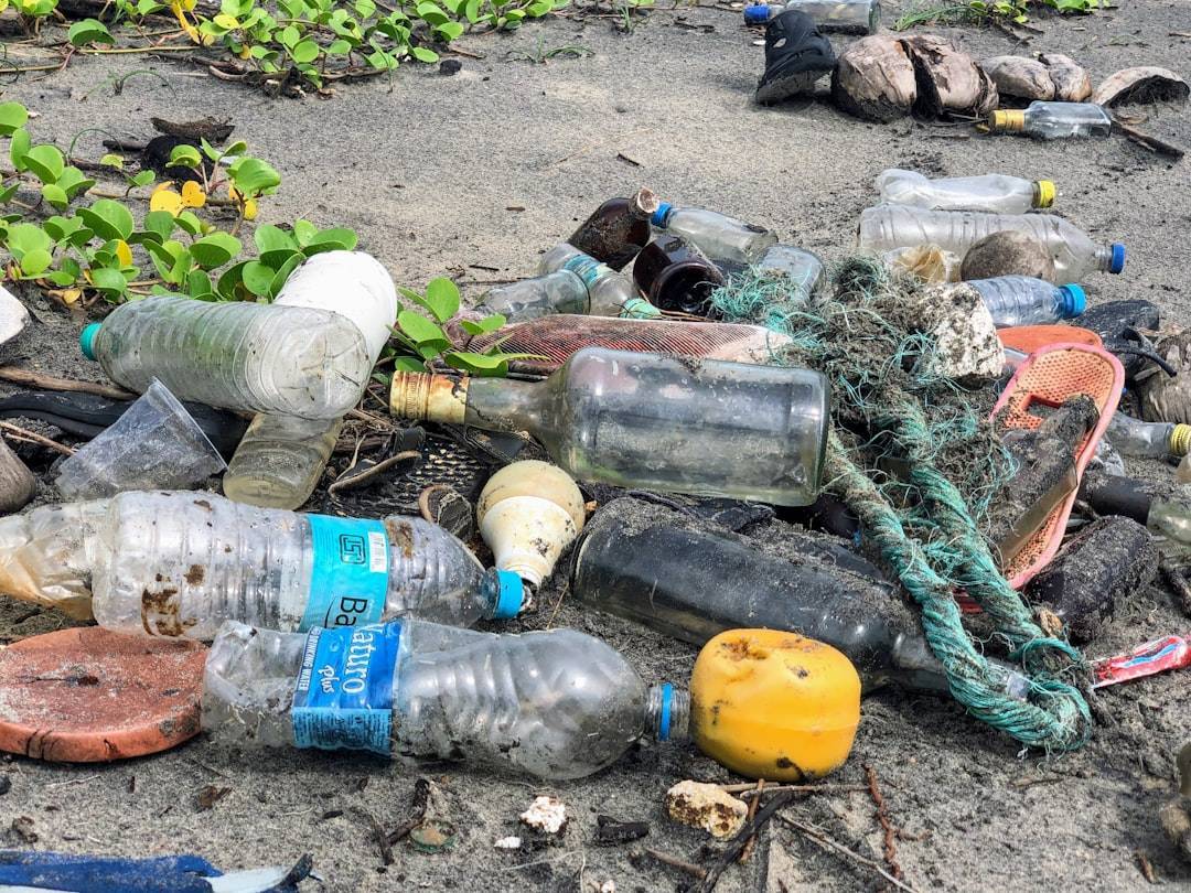 découvrez l'impact environnemental des activités humaines et des industries sur notre planète. explorez les enjeux écologiques, les solutions durables et comment chacun peut contribuer à préserver notre environnement.